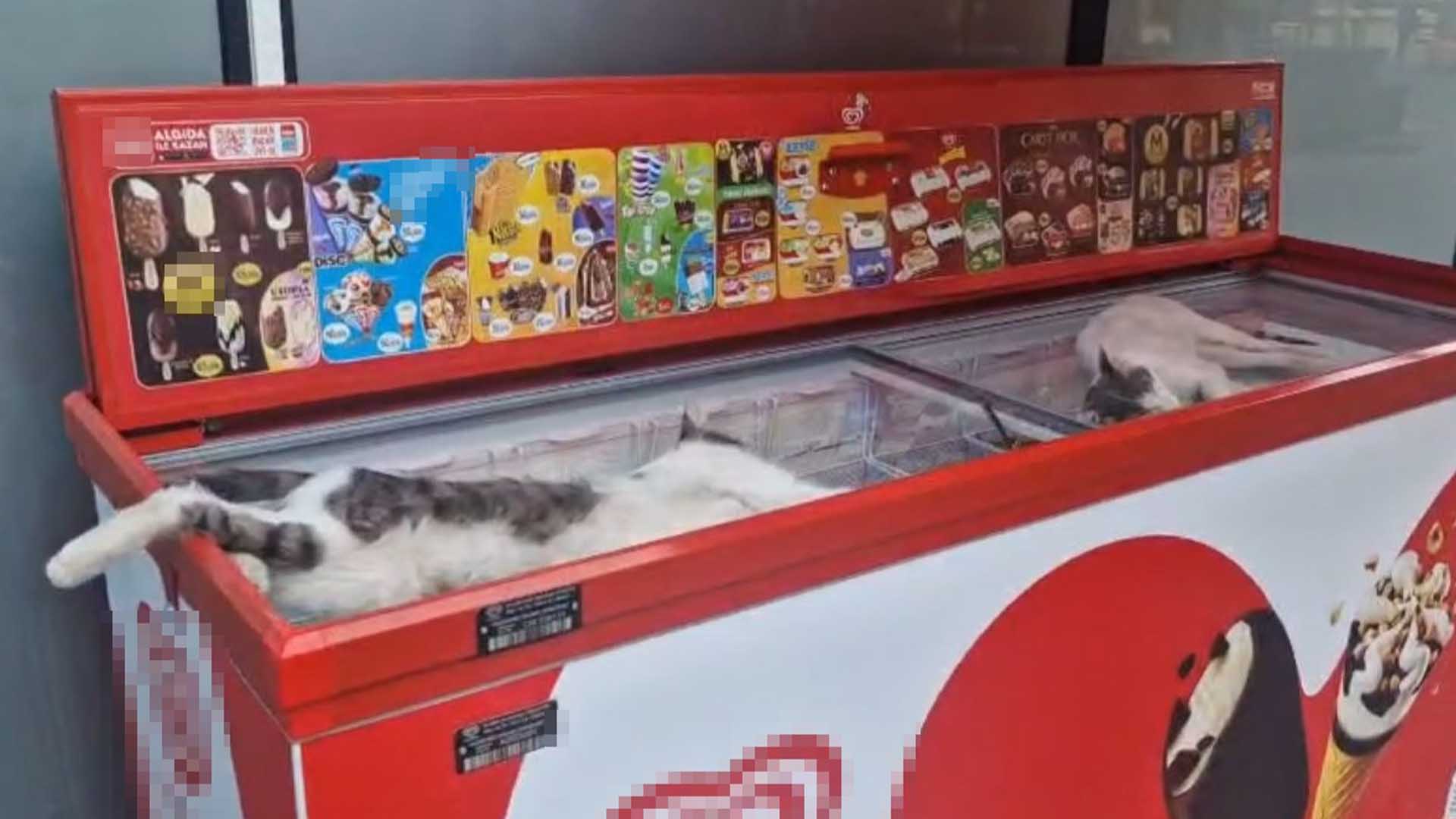 Diyarbakır’da Hava Sıcaklıkları 45 Dereceyi Geçti, Cadde Ve Sokaklar Boş Kaldı 8