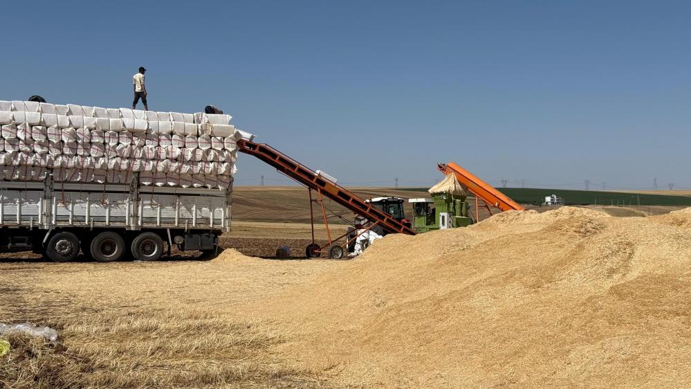 Diyarbakır'da Kavurucu Sıcakta Saman Mesaisi 45 Derecede Çalışıyorlar (1)