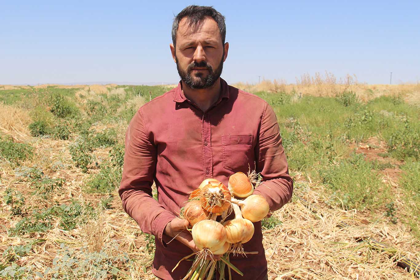 Diyarbakır’da Soğan Tarlada Kaldı 11