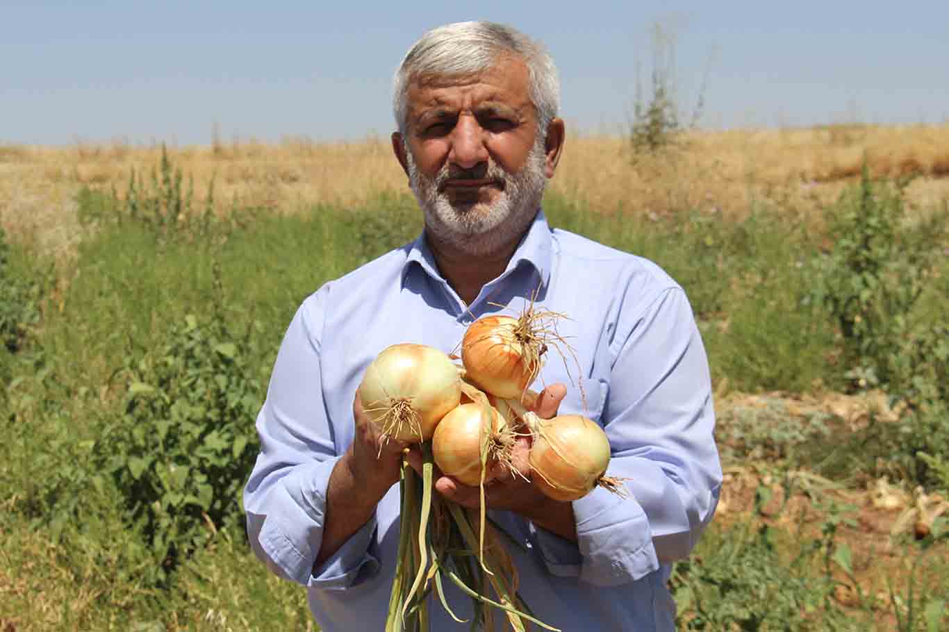 Diyarbakır’da Soğan Tarlada Kaldı 8