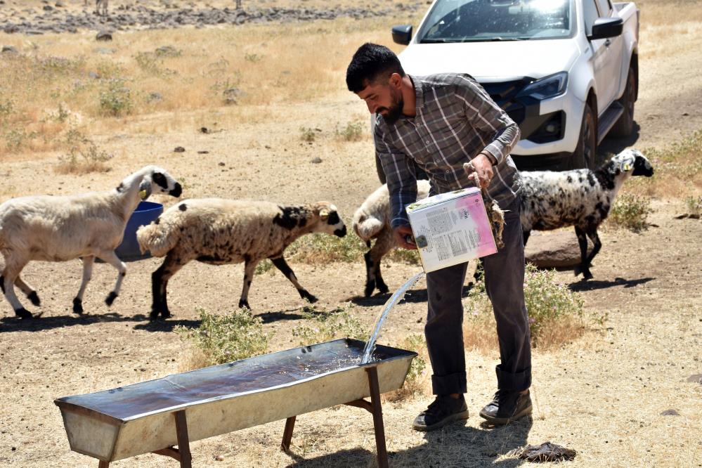 Diyarbakır'da Yaylalarda Hayvancılıkla Uğraşan Besicilere Tankerlerle Su Desteği (2)