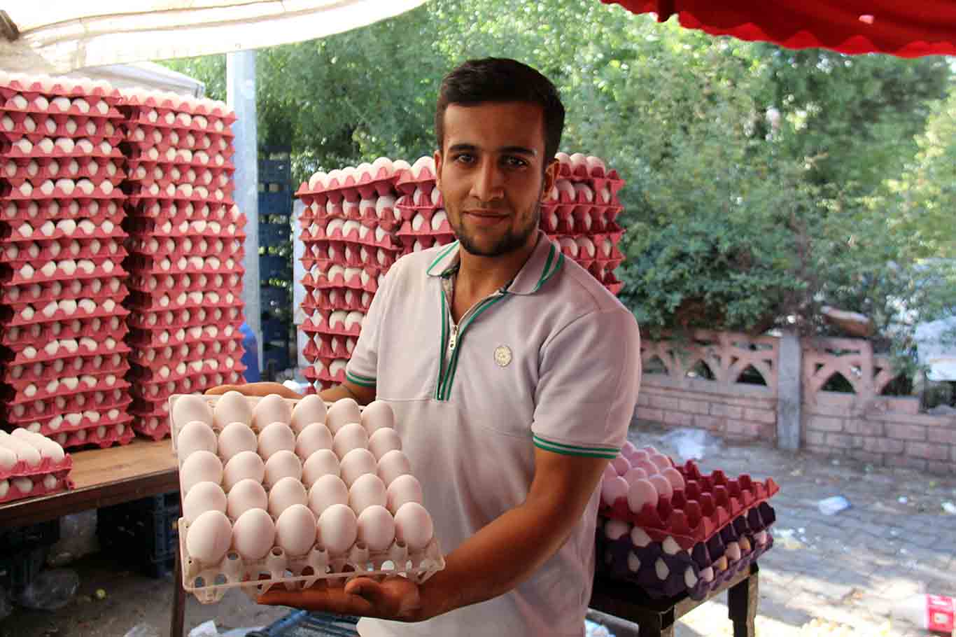 Diyarbakır’da Yerli Mahsul Çıktı Fiyatlar Düşüşe Geçti 8