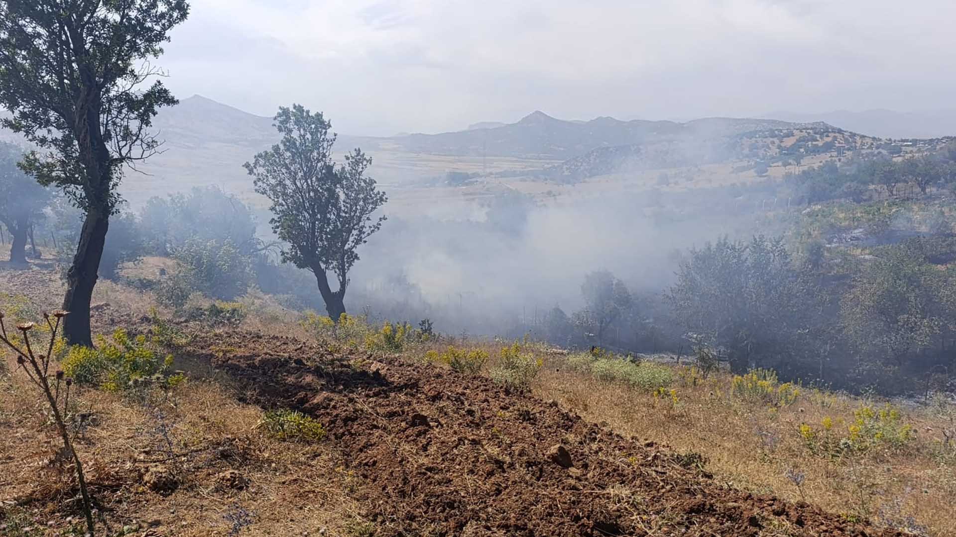 Diyarbakır'ın 3 Ilçesinde Çıkan Yangınlar Söndürüldü 2
