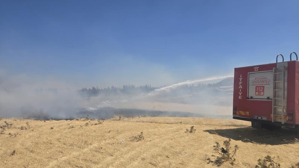 İslahiye’de Anız Yangını 150 Dönüm Arazi Kül Oldu (2)
