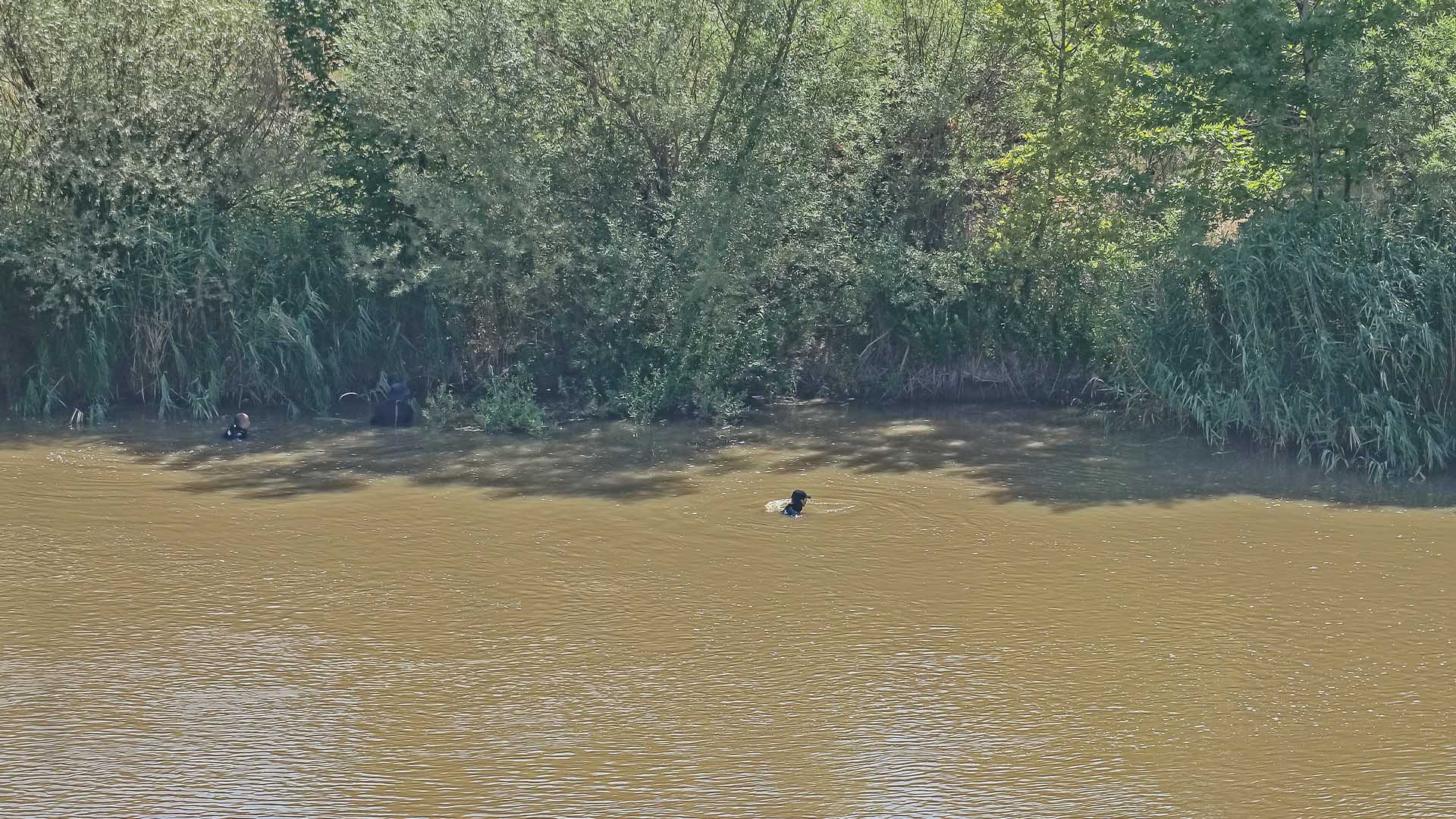 Kardeşi Ve Arkadaşını Kurtaran Babasına Yardım Için Suya Girmiş 5