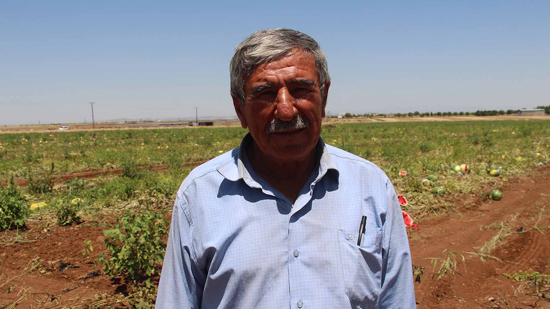 Karpuzun Tarladaki Fiyatı 2,5 Tl’ye Geriledi Çiftçi Zararına Satış Yapıyor (2)4