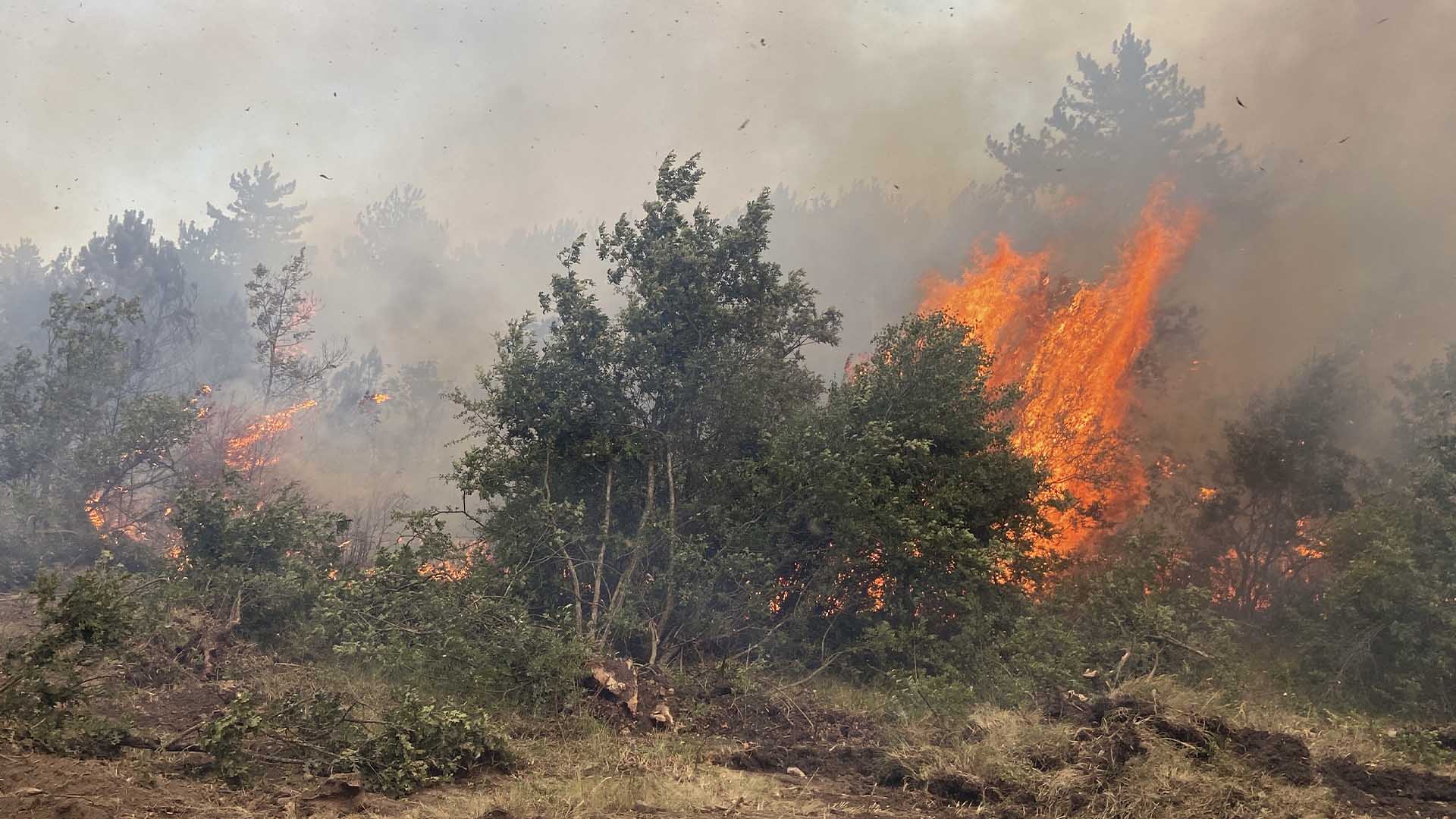 Orman Yangını Sırasında Alevlerin Arasında Kalan 11 Orman Işçisi Hayatını Kaybetti 1