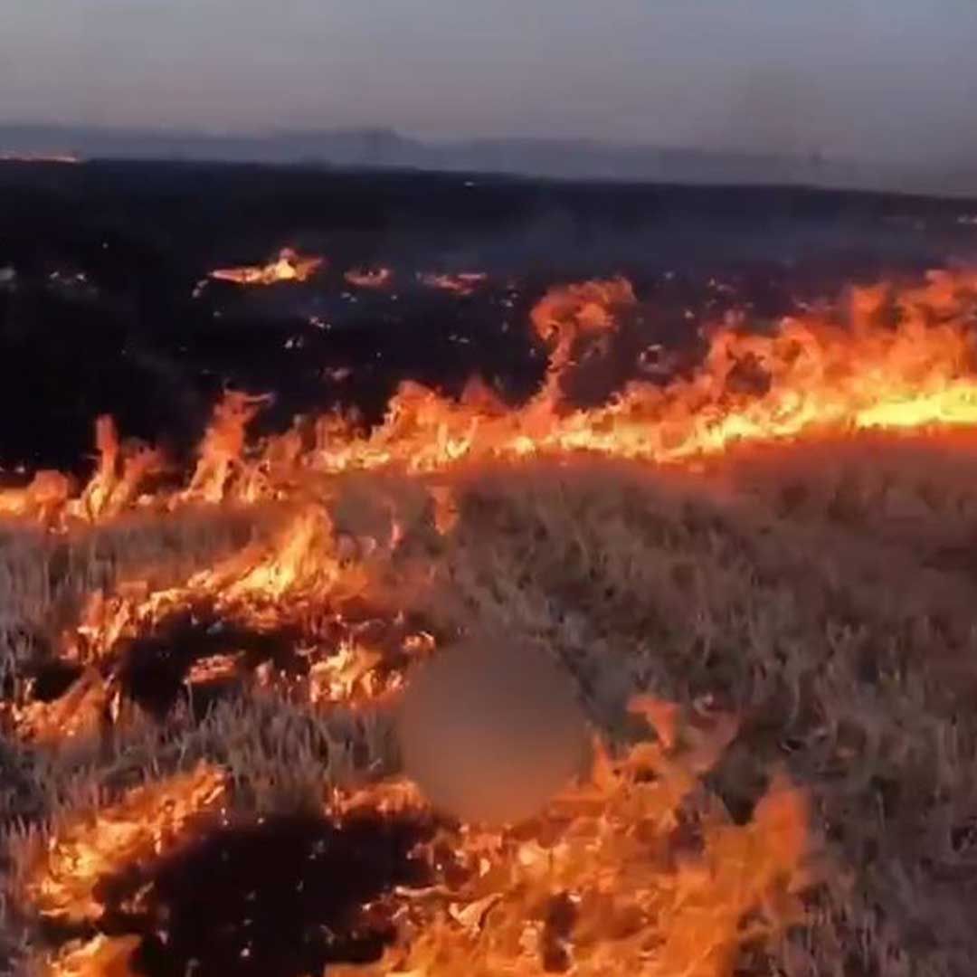 Tarlayı Yakıp Sosyal Medyada Paylaşan 15 Yaşındaki Şüpheli Yakalandı 3