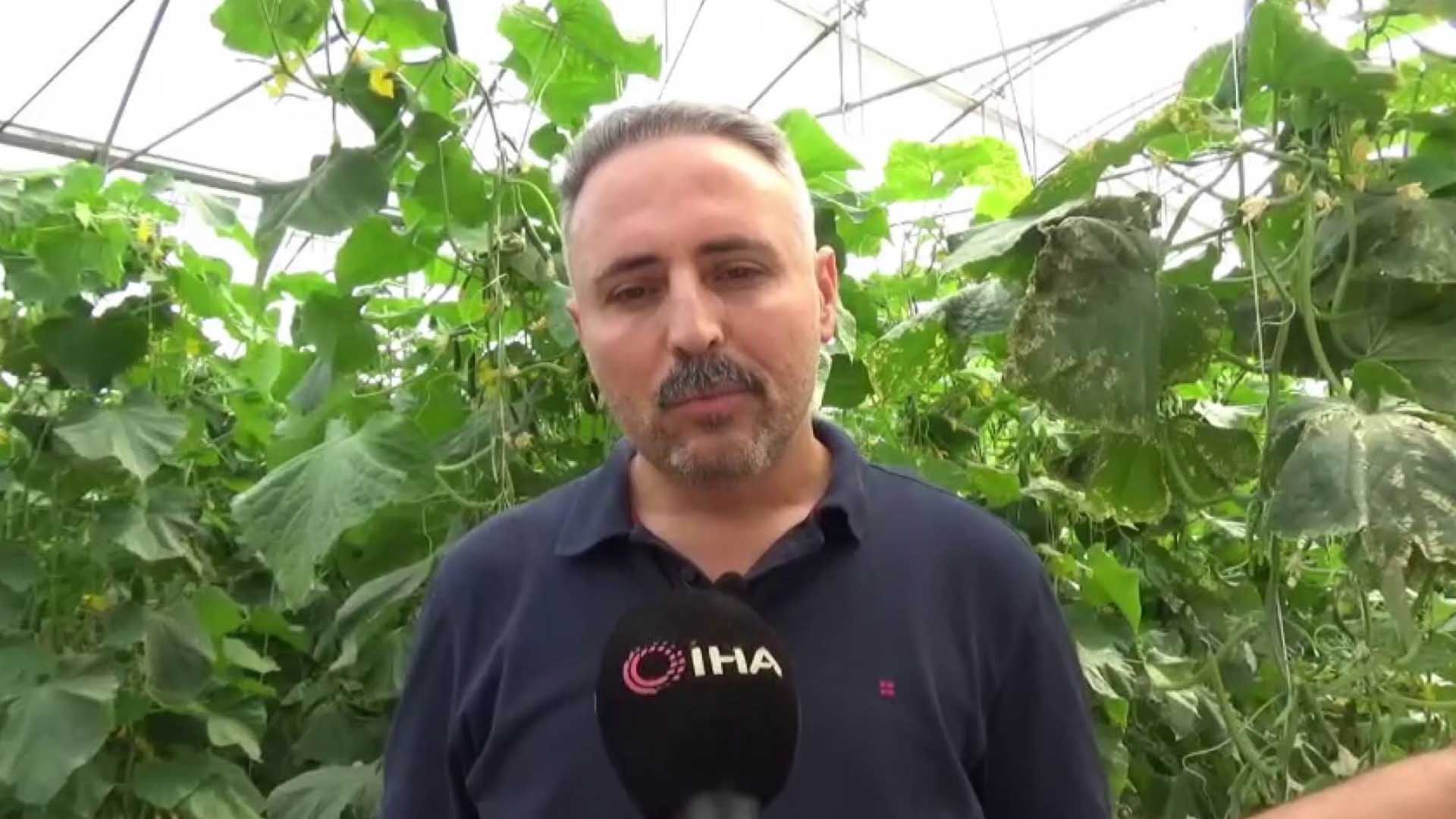 10 Bin Metrekarelik Alanda Günde 4 Ton Yetiştiriyor 3