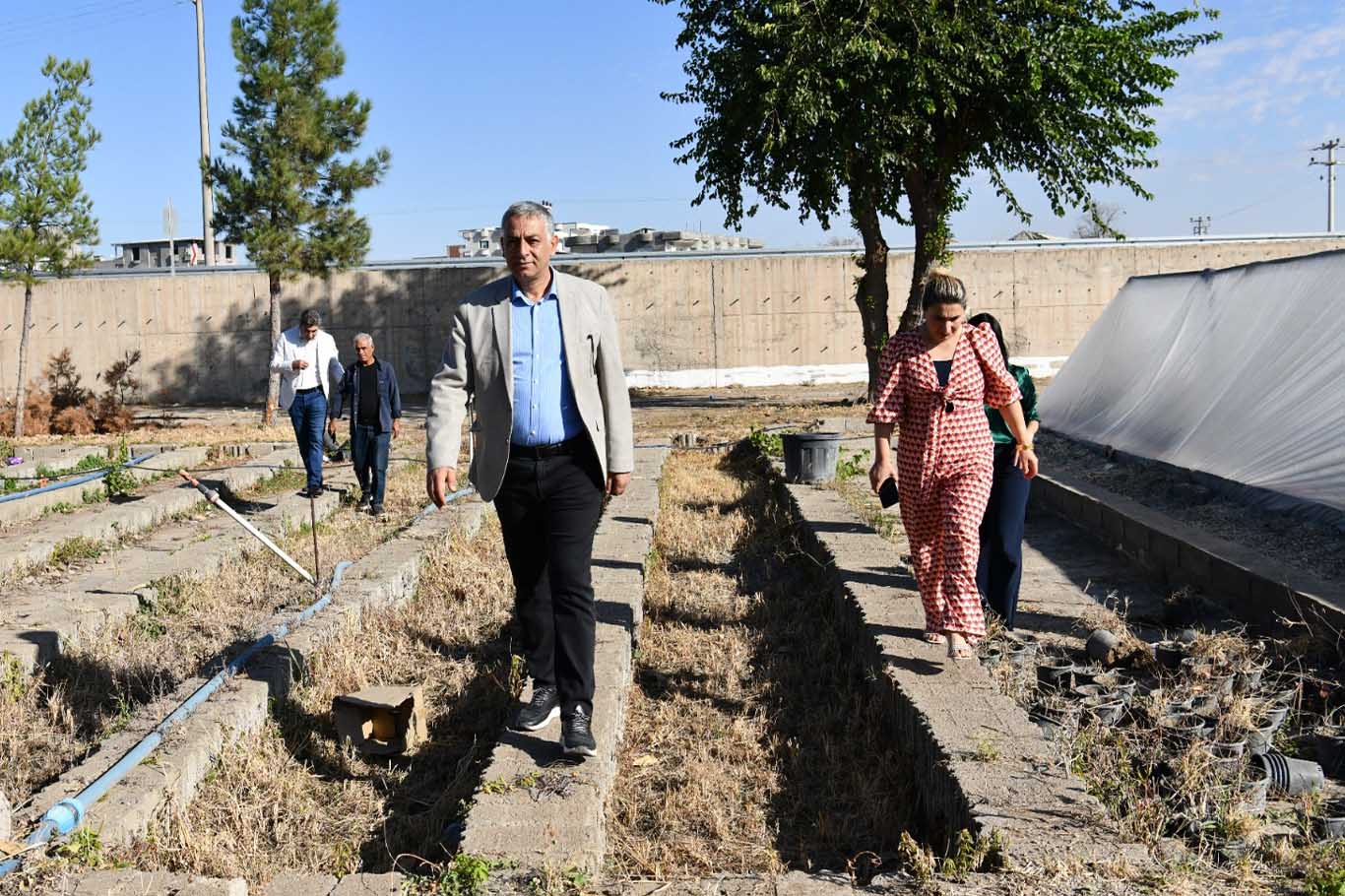 Bismil’de Fide Yetiştirme Serası Kuruldu 2