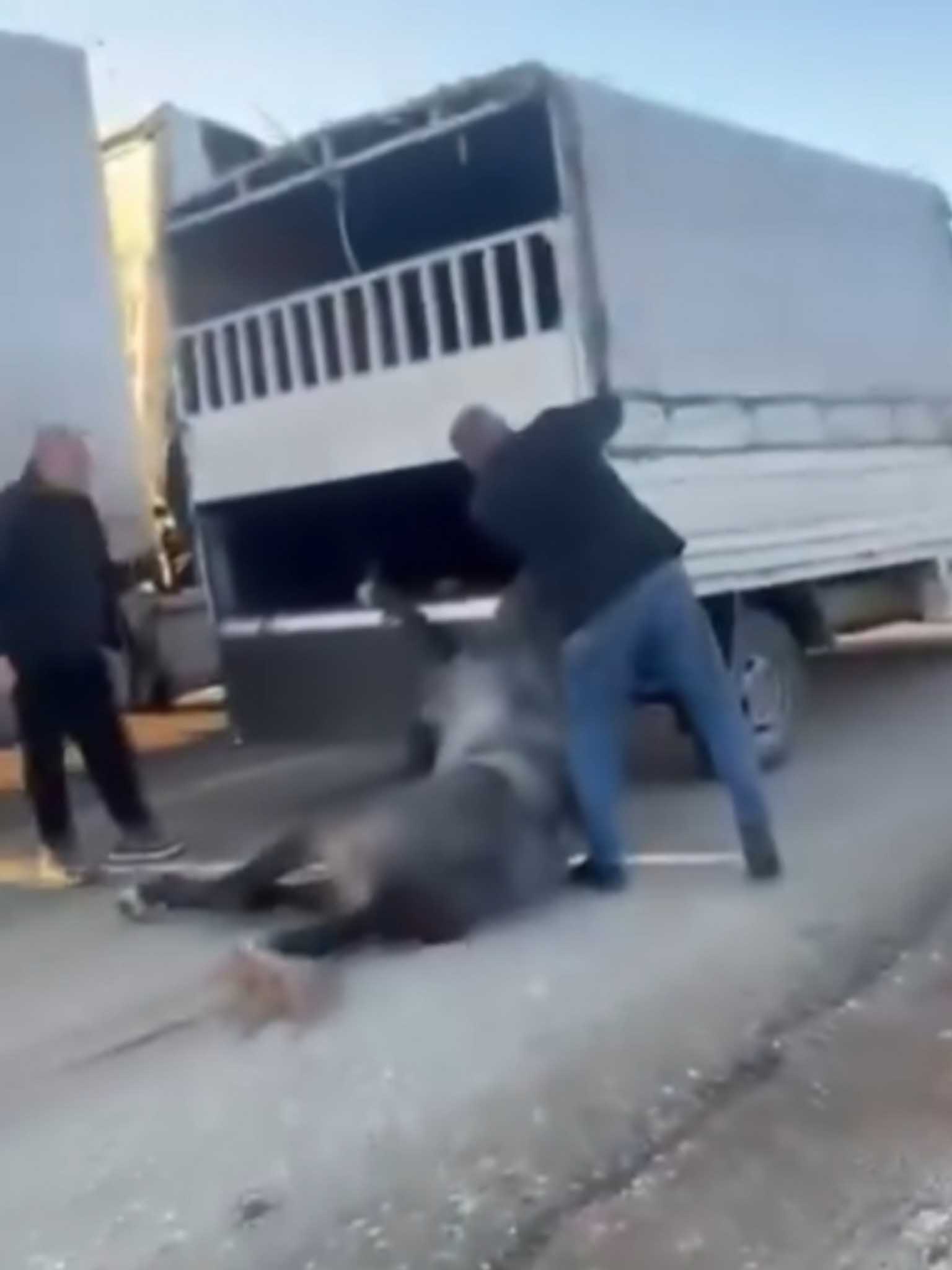 Batman Valiliği’nden Bir Kamyonetin Arkasına Bağlı Olarak Sürüklenen Ata Ilişkin Açıklama 1