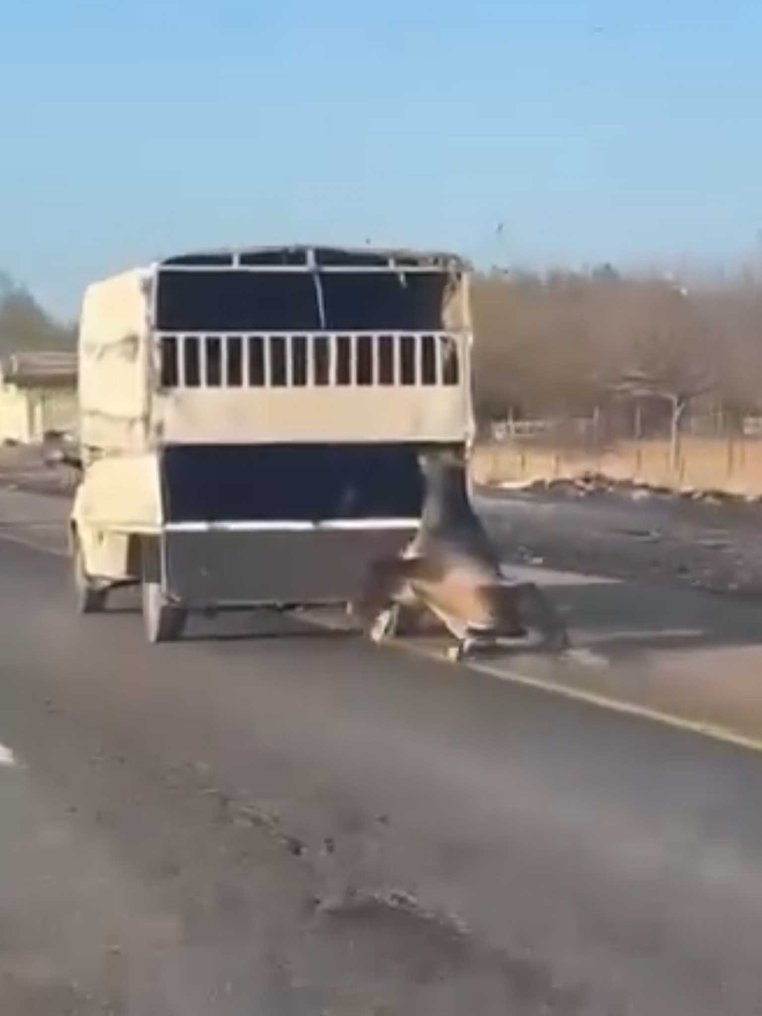 Batman Valiliği’nden Bir Kamyonetin Arkasına Bağlı Olarak Sürüklenen Ata Ilişkin Açıklama 2