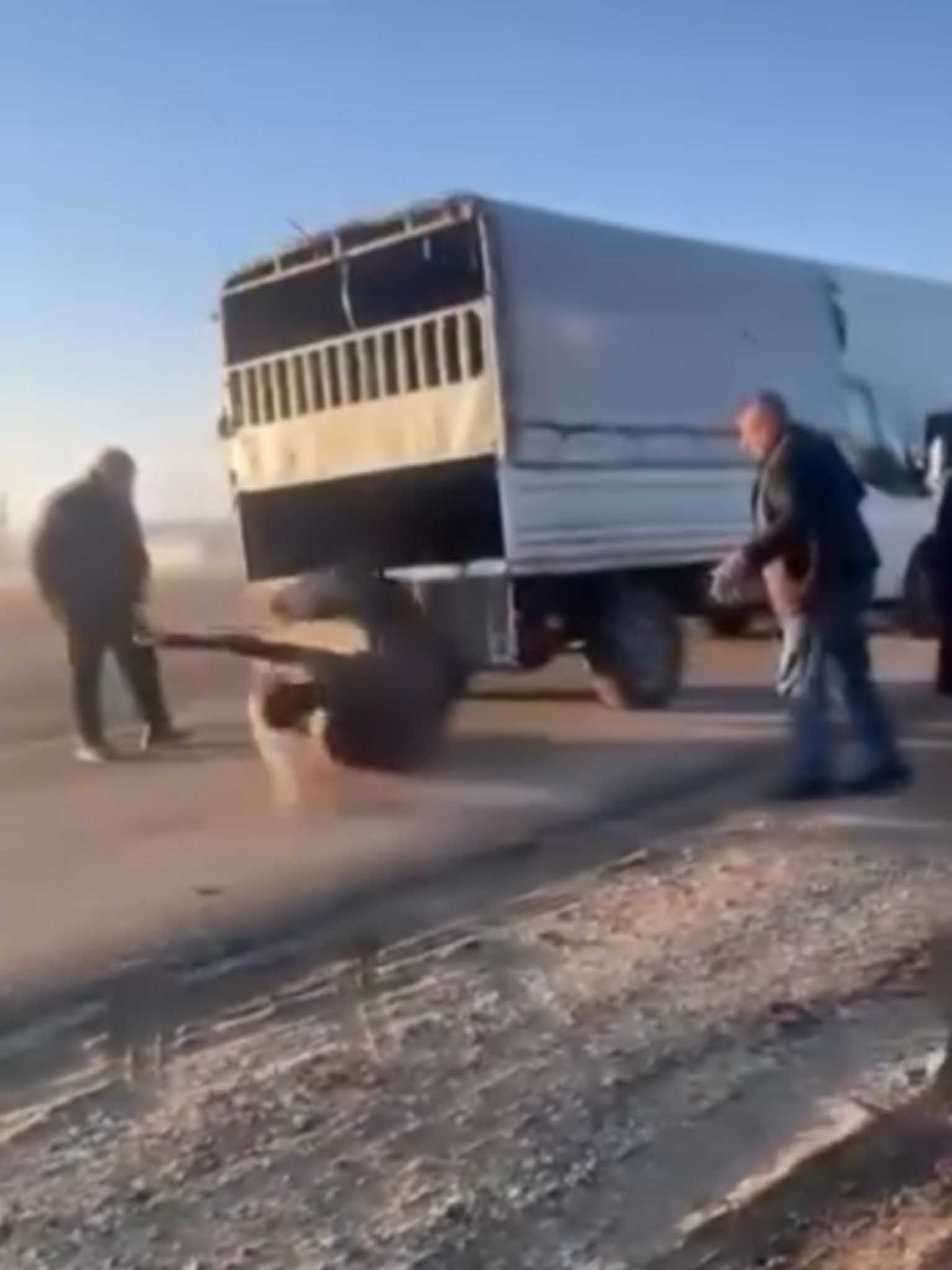 Batman Valiliği’nden Bir Kamyonetin Arkasına Bağlı Olarak Sürüklenen Ata Ilişkin Açıklama 3