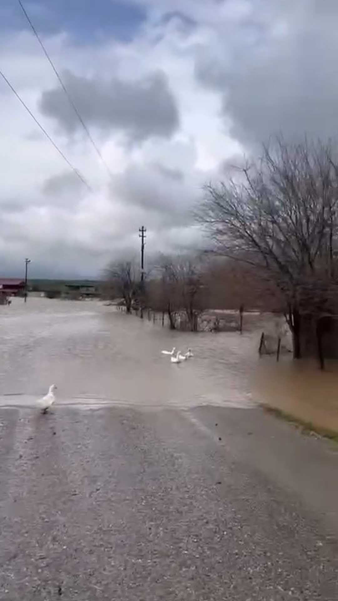 Diyarbakır’da Sağanak; Ambar Çayı Taştı, Yol Ve Tarlalar Sular Altında Kaldı 8