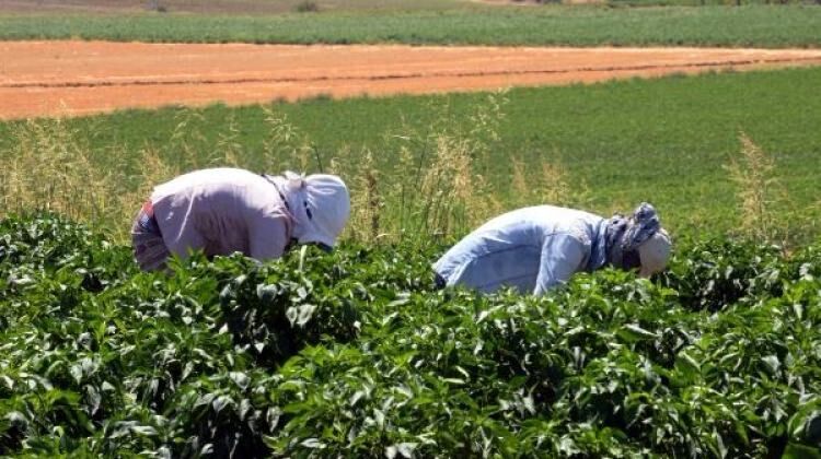 Bismil Belediyesinden Toprak Reformu Gibi Uygulama H1501234288 3F9404