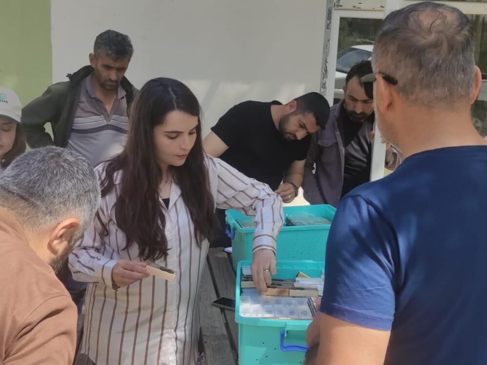 Arıcılığın Geliştirilmesi İçin Üreticilere Ana Arı Dağıtıldı (2)
