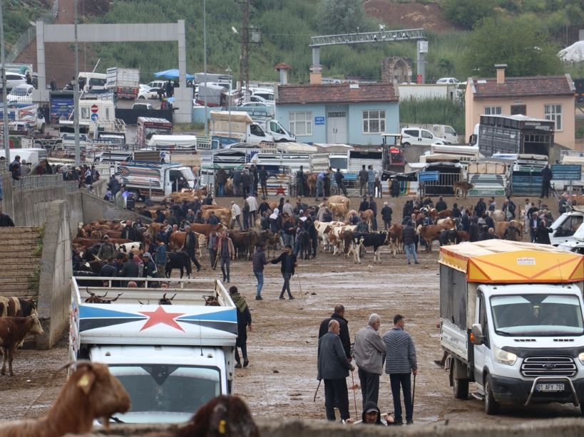 Diyarbakır’da Kurban Pazarında Hareketlilik Başladı (1)