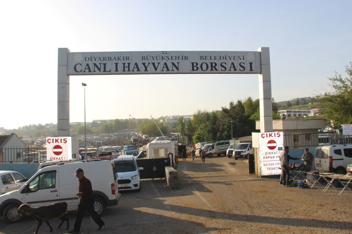Diyarbakır'da Kurbanlık Telaşı Başladı Alıcı Da Dertli Satıcı Da! (2)