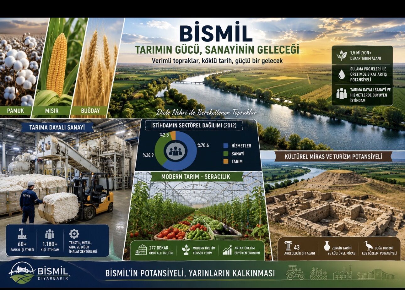 I M G 3014-2
