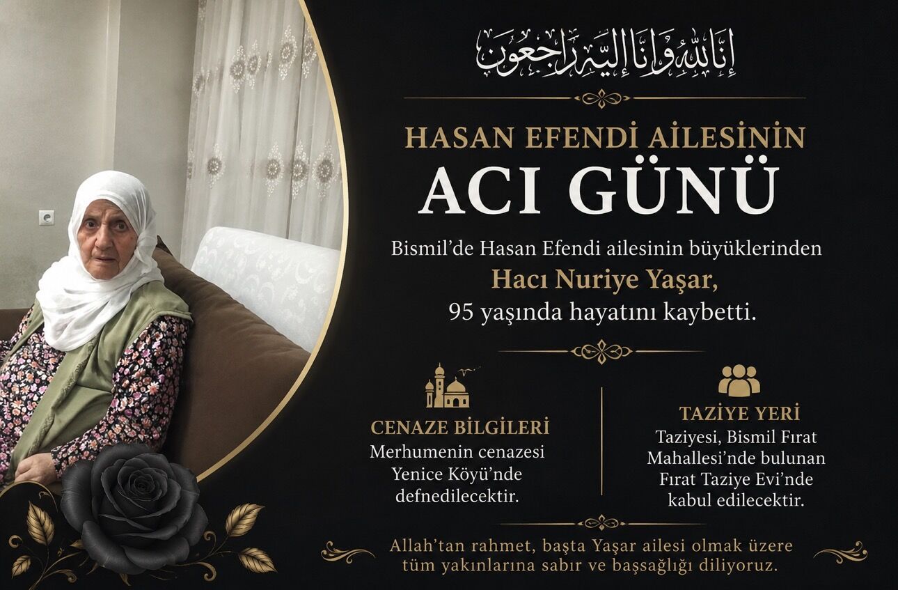 I M G 3355-1