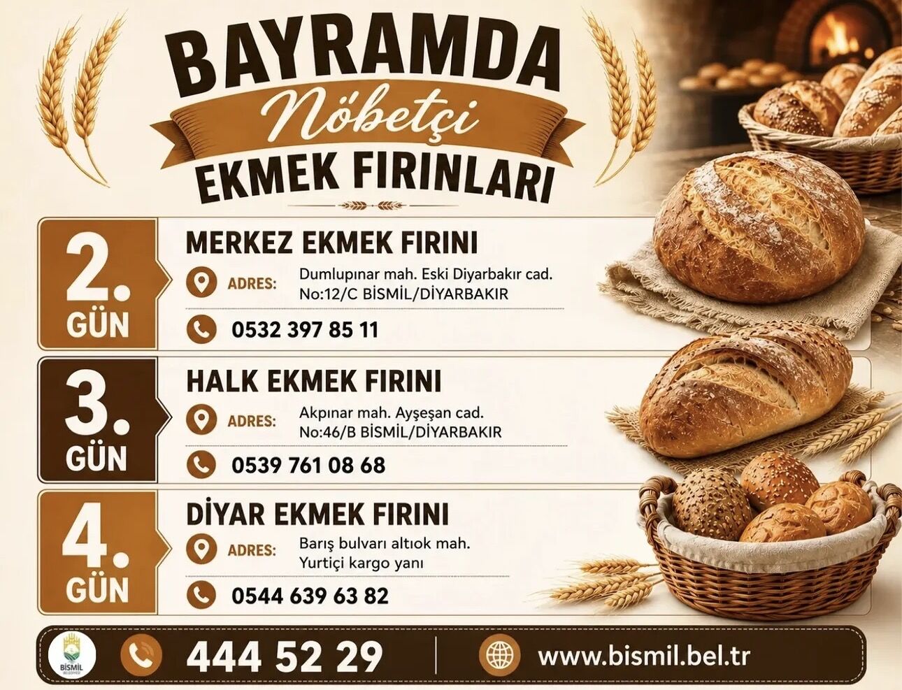 I M G 4398