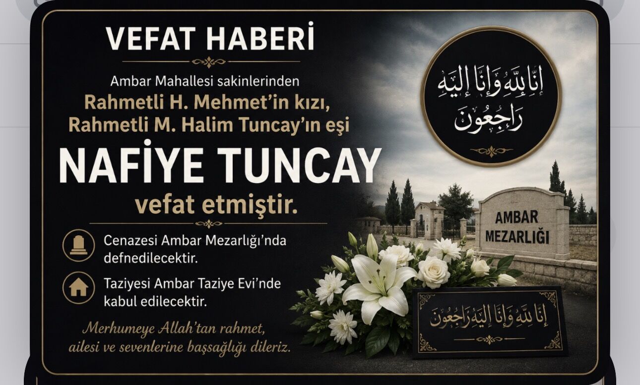 I M G 4641-1