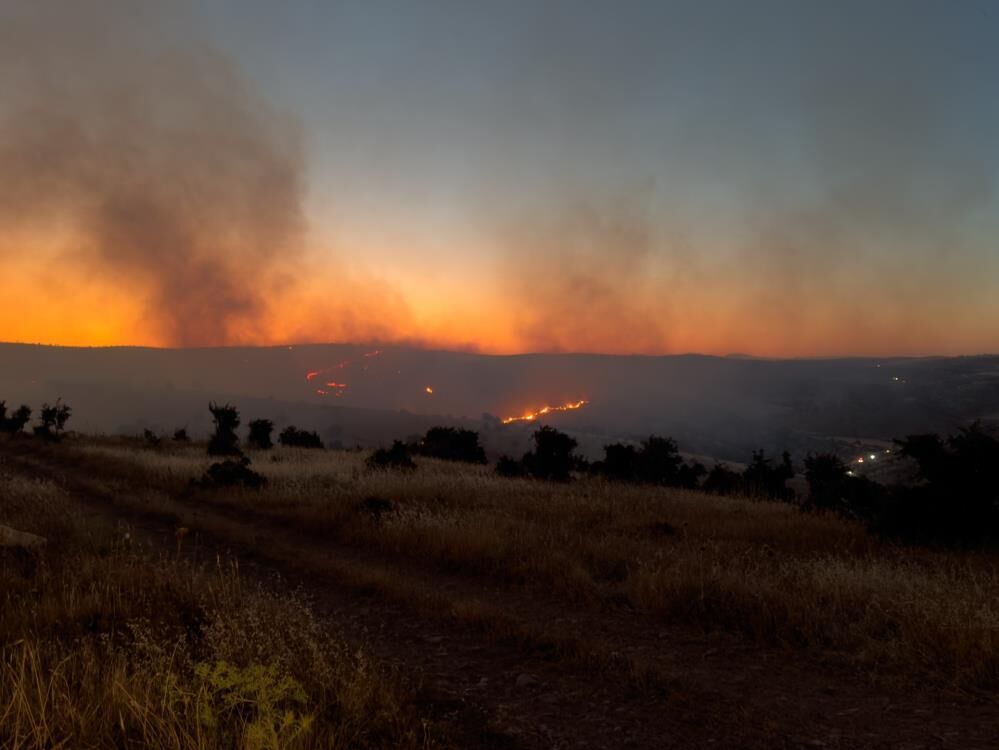 Arazi Yangını İtfaiye Ve Çiftçilerin Müdahalesiyle Kontrol Altına Alındı (2)