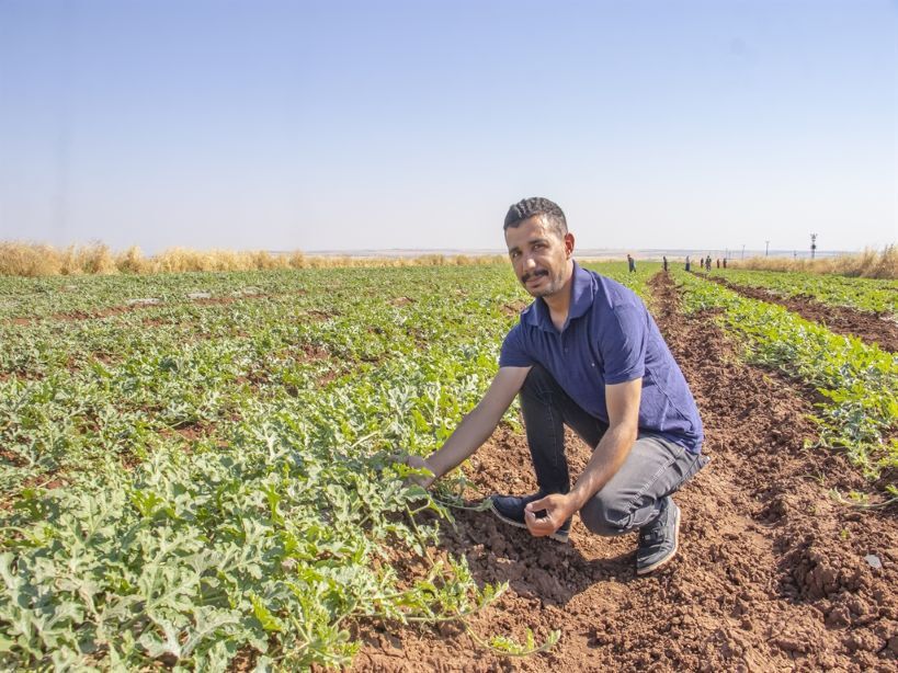 Diyarbakır Karpuzunu Dolu Vurdu Bu Yıl Hasat Gecikecek (2)
