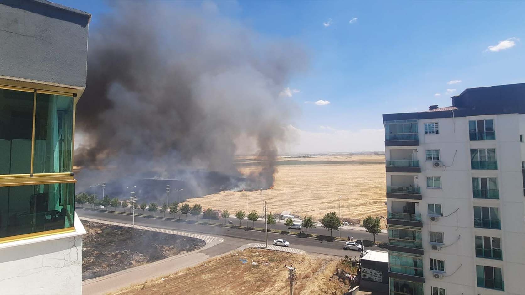 Diyarbakır'da Korkutan Anız Yangını Söndürüldü 5