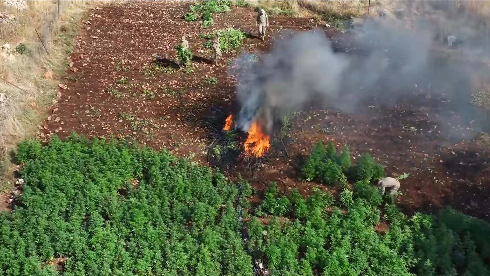 Diyarbakır'ın 5 İlçesine Dev Uyuşturucu Operasyonu, 31 Gözaltı 1