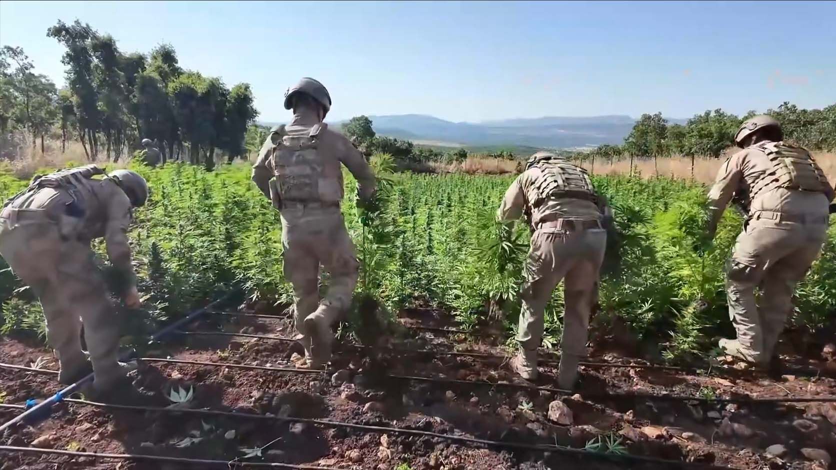 Diyarbakır'ın 5 İlçesine Dev Uyuşturucu Operasyonu, 31 Gözaltı 2