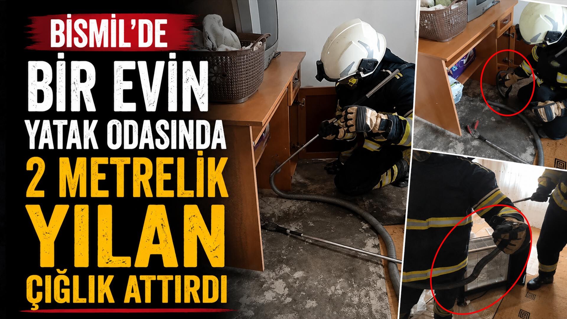 Bismil'de Bir Evin Yatak Odasında 2 Metrelik Yılan Çığlık Attırdı