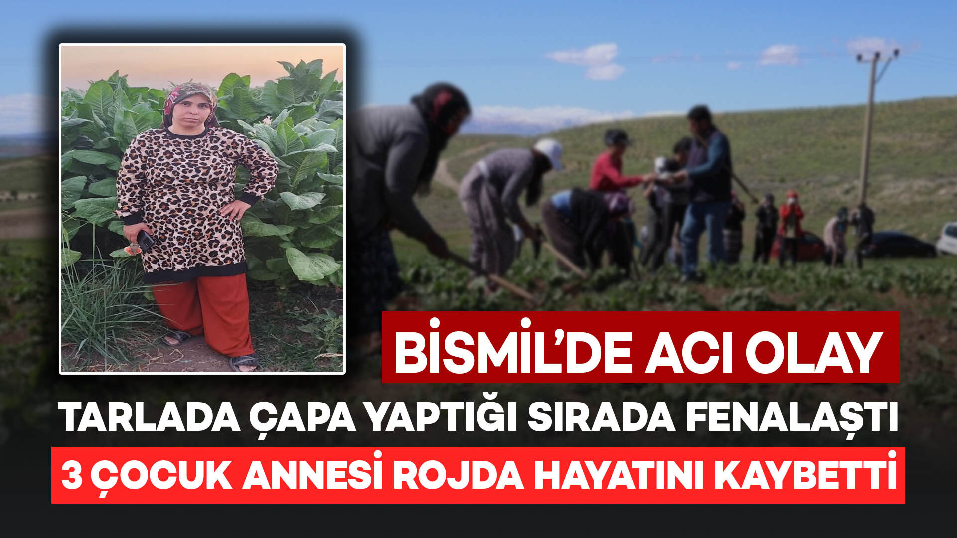 Bismil'de Tarlada Çapa Yaptığı Sırada Fenalaşan 3 Çocuk Annesi Rojda Hayatını Kaybetti