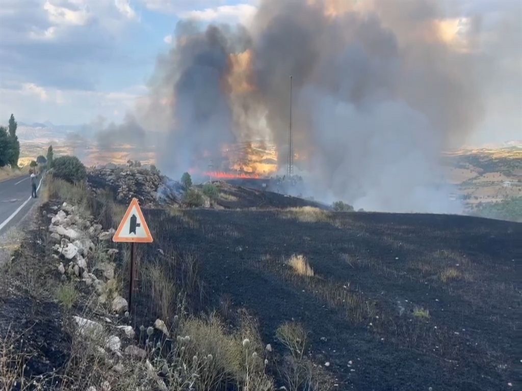 Diyarbakır'da İki Ayrı Noktadaki Örtü Yangınları Ekipleri Harekete Geçirdi (2)