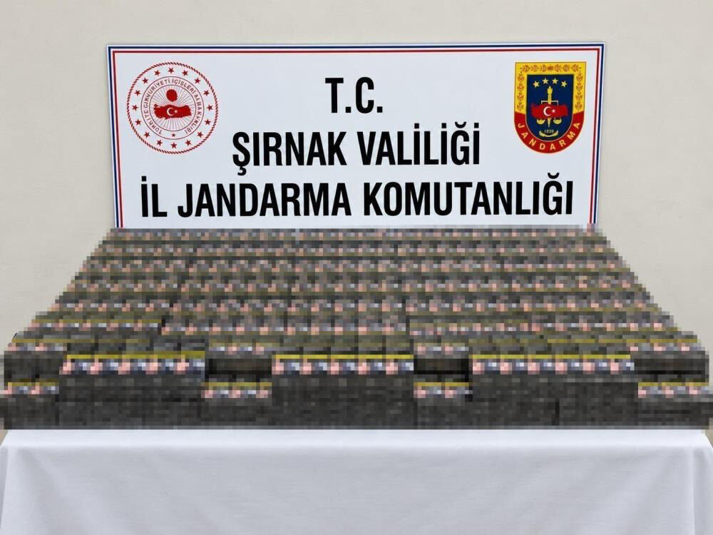I M G 1441-1