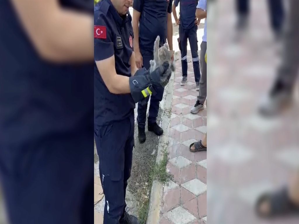 Otomobilin Motoruna Giren Minik Kediyi İtfaiye Ekipleri Kurtardı (2)