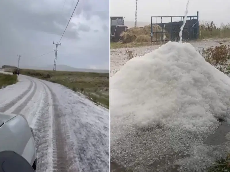 Kars