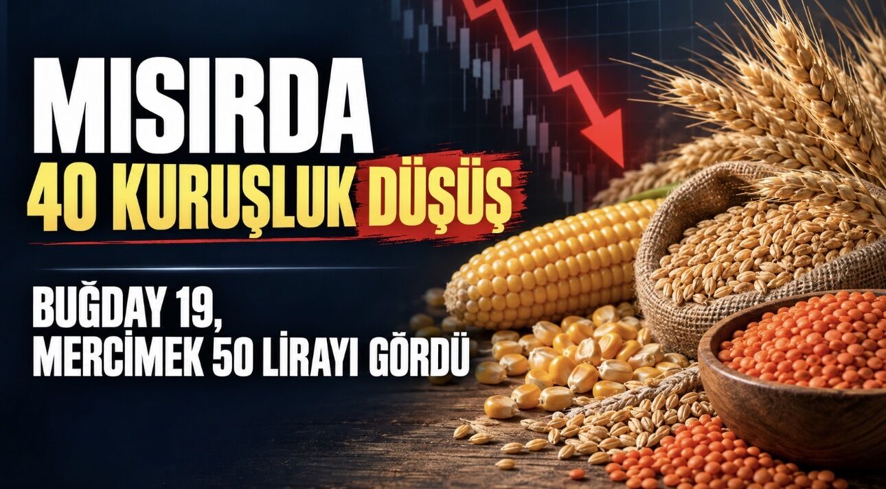 Mısırda 40 kuruşluk düşüş: buğday 19, mercimek 50 lirayı gördü