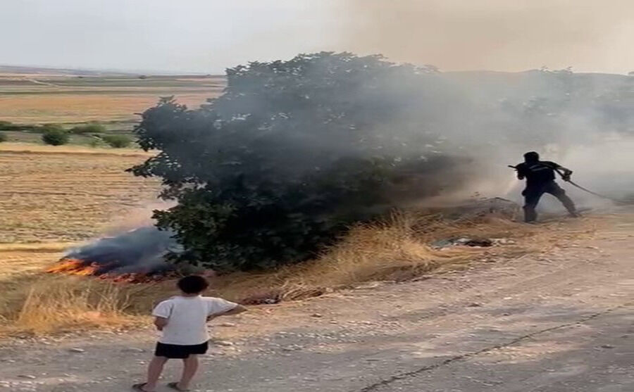 Adıyaman'da Bahçe Yangını: Ağaçlar Alevlere Teslim Oldu