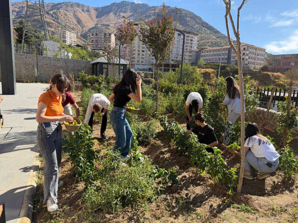 Halk Kütüphanesinde Yetiştirilen Sebzeler Ürün Verdi