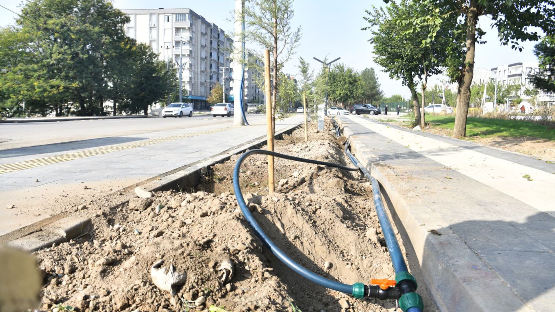 Bismil’de 200 Ağaç İçin Tasarruflu Sulama Sistemi Kuruluyor 1