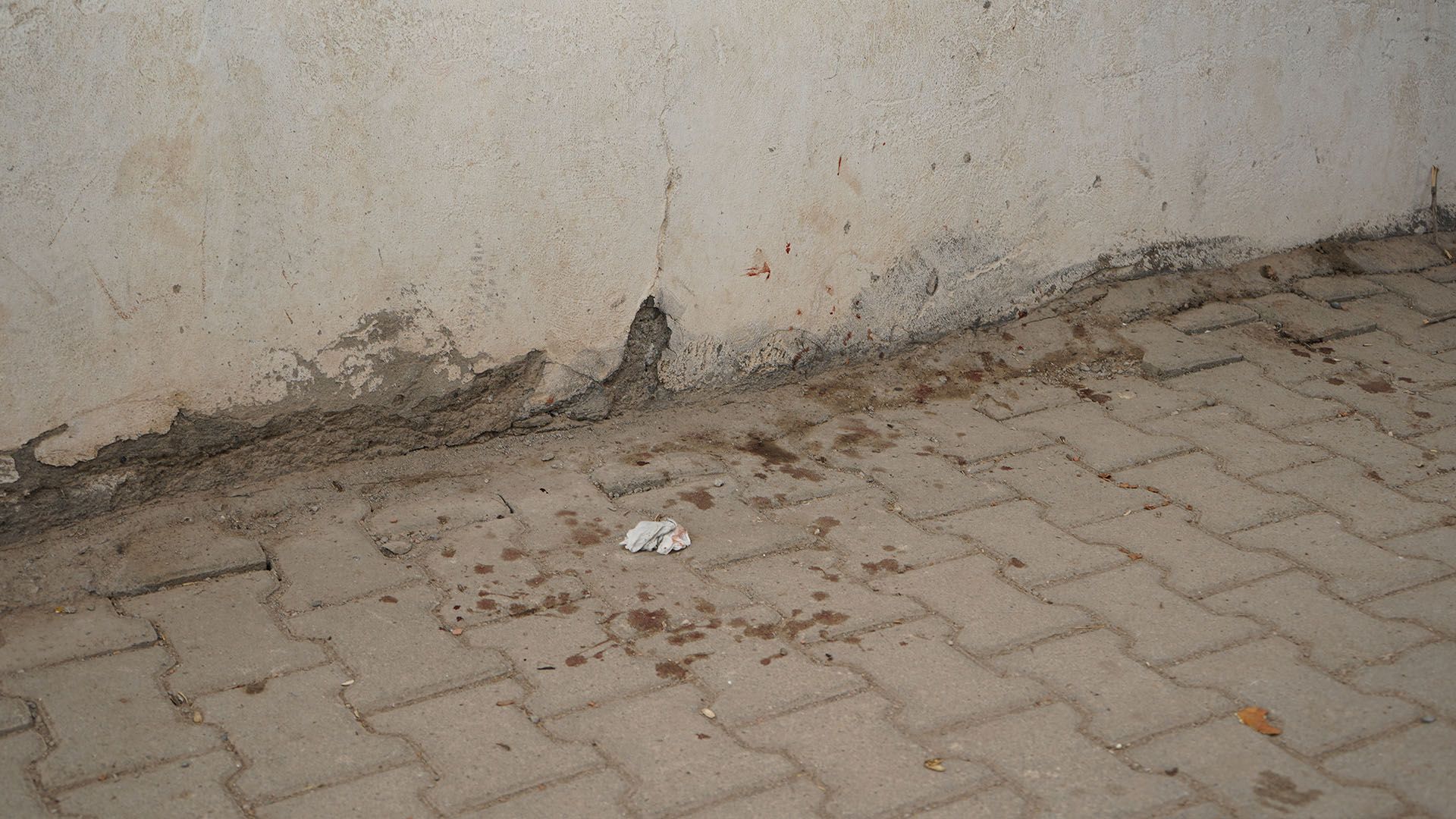 Bismil’de Yaralı Bulunan Mahalle Kedisi Tedavi İçin Diyarbakır’a Sevk Edildi 7
