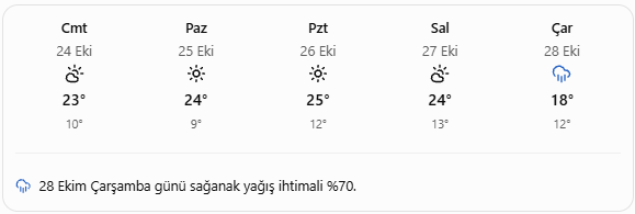 Ekran Görüntüsü 2026 10 24 101256