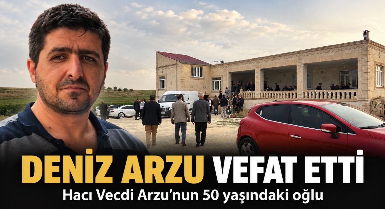 Çınar