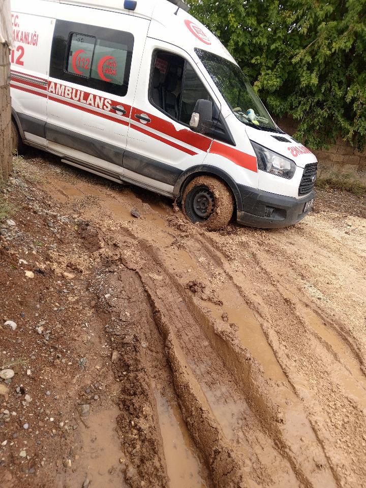 I M G 4050. J P G
