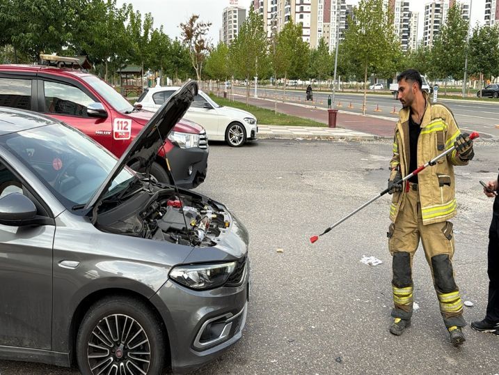 Kaputa Giren Yılan Ekipleri Uğraştırdı Çözümü Vatandaşlar Buldu-1