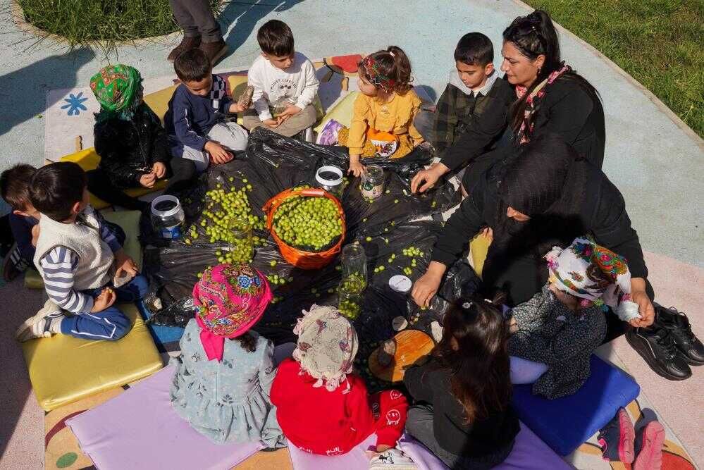 Minikler Geleneksel Zeytin Kırma Etkinliğiyle Üretim Kültürünü Tanıdı (1)