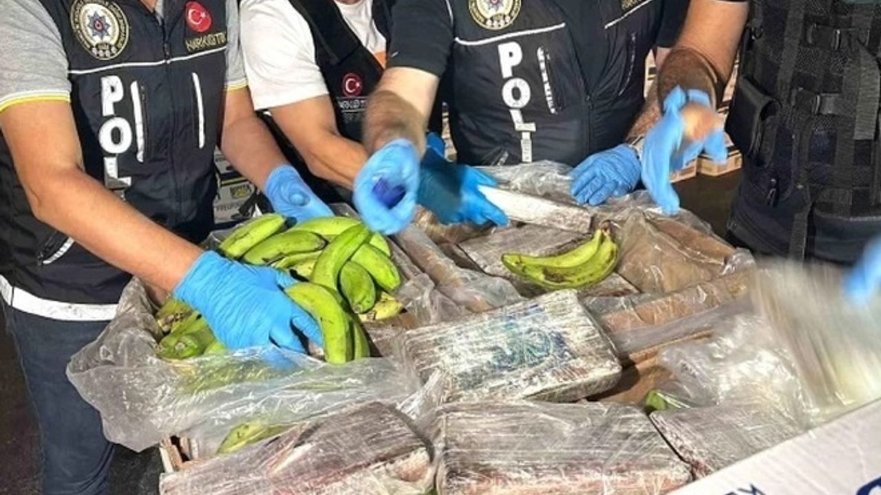Ekvador menşeli muz kolileri içinde 610 kilogram kokain bulundu