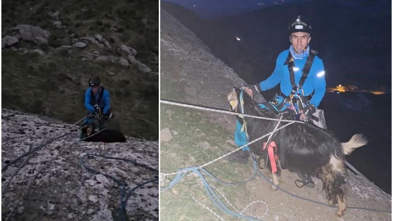 Diyarbakır'da 60 metre yükseklikteki kayalıklarda 3 gün mahsur kalan keçi kurtarıldı