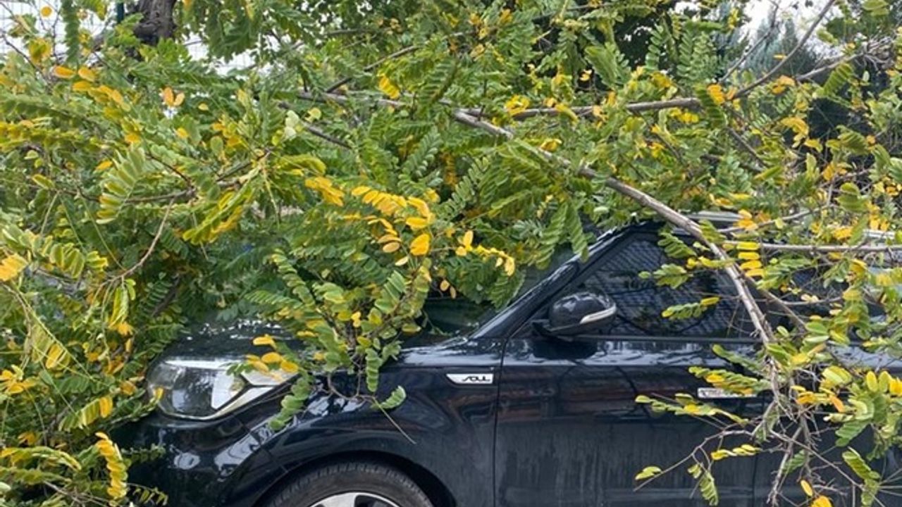 Batman'da şiddetli rüzgar, park halindeki araçlara zarar verdi